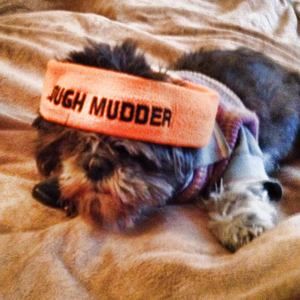 Meet your Posher, Tito